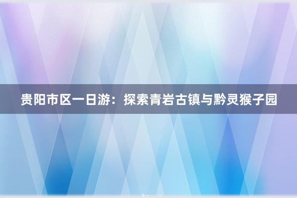 贵阳市区一日游：探索青岩古镇与黔灵猴子园