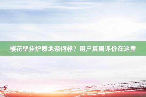 樱花壁挂炉质地奈何样？用户真确评价在这里