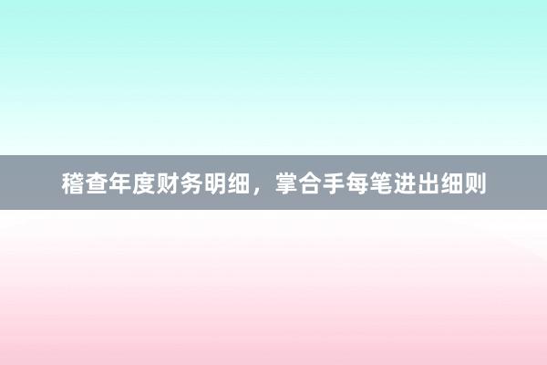 稽查年度财务明细，掌合手每笔进出细则