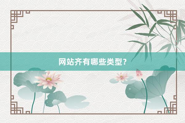网站齐有哪些类型？