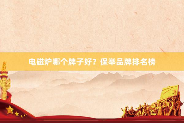 电磁炉哪个牌子好？保举品牌排名榜