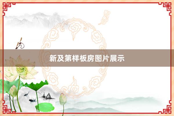 新及第样板房图片展示