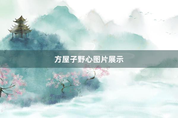 方屋子野心图片展示